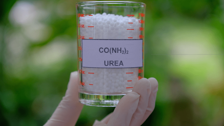 urea in glass